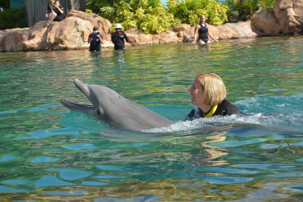 Kim-Swimming-with-Dolphin-Discovery-Cove-